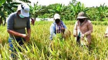 Hay temor por la desgravación arancelaria