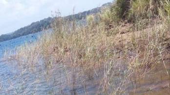 Dan con el cadáver de pescador en Lago Gatún