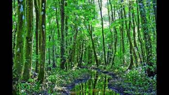 Entre otras cosas, consideran que los Estados deben acelerar el paso.