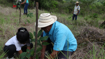 Dueños de fincas se suman a proyecto de reforestación