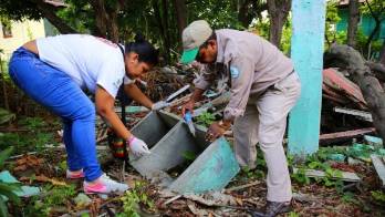Minsa reactivó la campaña ‘Brigada caza mosquitos' para reducir la cantidad de casos y eliminar los criaderos de mosquitos