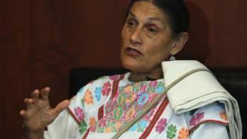 La feminista ya había recibido el beneplácito del ministerio de Relaciones Exteriores.