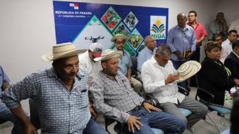 Ganaderos aseguran que hay un excedente de 50 mil reses para sacrificar y no hay comprador.