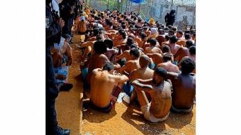 Decomisaron drogas y dinero