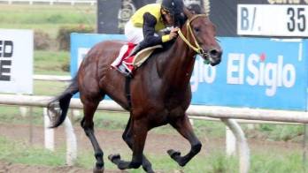 Jugosa jornada hípica de esta semana.