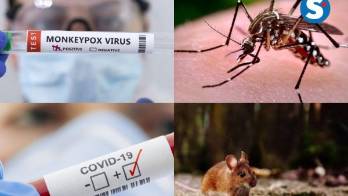 Amenazas a la salud pública: covid-19, viruela del mono, dengue y hantavirus&nbsp;