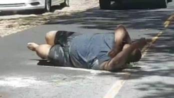 Estaba orinando, lo atacaron abejas africanizadas y falleció