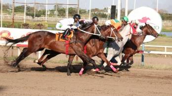 Tarde de doble acumulados