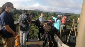 Subir a ‘La Torre', es todo un espectáculo para observar y escuchar desde allí las aves.