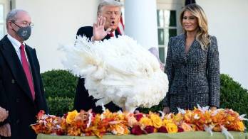 Corn se salvó. No se lo comerán en Acción de Gracias