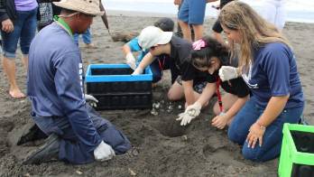 Una liberación de amor en Playa La Barqueta