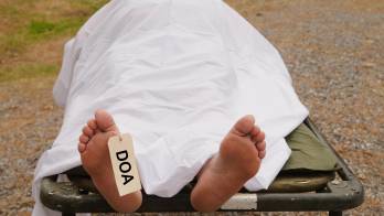 Panamá registró 35 homicidios durante el mes de febrero de 2026, según cifras preliminares del Ministerio Público.