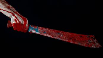 La agresión mantiene costernado a los moradores de Llano Colorado