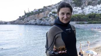 La bióloga e investigadora del Departamento de Botánica y Fisiología Vegetal de la Universidad de Málaga (UMA) María Altamirano, una de las mayores expertas en el país. EFE/Alba Freixas