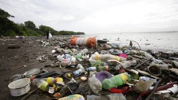 Voluntarios recogieron 52 toneladas de basura en distintas playas de Panamá