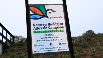 Se plantaron especies emblemáticas como cocobolo, mayo, roble y guayacán para restaurar áreas prioritarias del parque