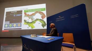 Panamá pierde 56.369 hectáreas en siete años pero reduce el ritmo de deforestación