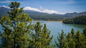 ONU: Panamá contará hasta 2020 con 27 toneladas de carbono forestal