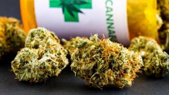 Recientemente, el Minsa aprobó los formularios y certificaciones que permitirán el acceso controlado a medicamentos derivados del cannabis.
