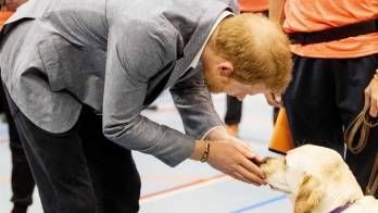 Este relato es uno de los muchos que el príncipe Enrique cuenta en el libro.