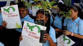 En Las Vueltas emprenden proyecto de restauración de áreas verdes