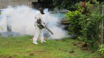 El hantavirus registró tres defunciones. Procure tener los predios de su casa limpia.