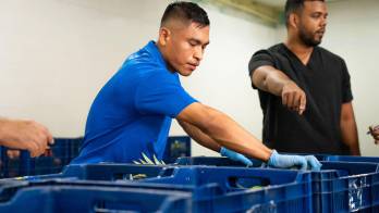 Cada almuerzo escolar cubre aproximadamente el 30% de los requerimientos dietéticos diarios.