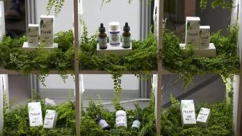 Fotografía de productos elaborados con cannabis.