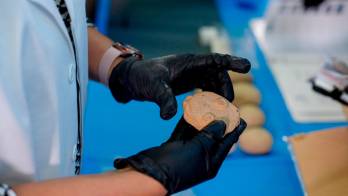 Son 33 piezas de cerámica.