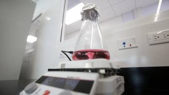 La idea es fortalecer la investigación y producción de vacunas.