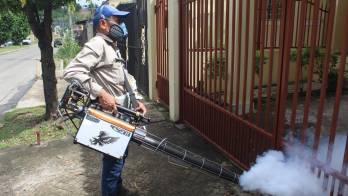 Las autoridades reiteran el llamado a eliminar de manera permanente los criaderos del mosquito Aedes aegypti, principal transmisor de la enfermedad.