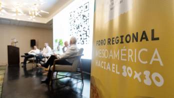 Personas participan en el Foro Regional Mesoamérica hacia el 30x30 este martes, en Mérida, Yucatán (México).