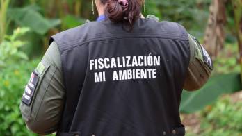 Las labores serán supervisadas por técnicos de la Dirección de Verificación del Desempeño Ambiental de MiAmbiente, con el acompañamiento del Ministerio de Salud (Minsa).