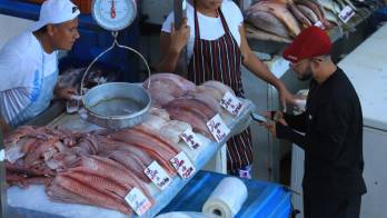 Algunos puestos ofrecían el pargo pequeño a $3.50.