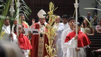 Monseñor José Domingo Ulloa Mendieta presidió la misa de Domingo de Ramos en la Catedral Basílica Santa María de La Antigua,