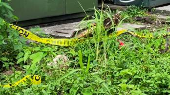 Al parecer el hombre sin techo estaba sustrayendo cables cuando sufrió la descarga eléctrica