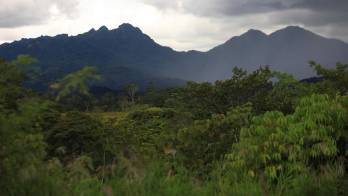 [VIDEO] Minera Panamá da soporte al 17% de la superficie de áreas protegidas terrestres de Panamá&nbsp;&nbsp;