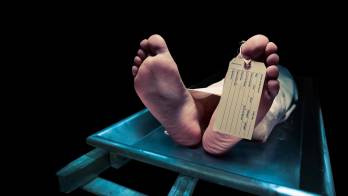 En 2023, Panamá cerró con 556 homicidios dolosos según las estadísticas oficiales del Ministerio Público.