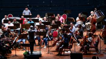 Román Dibulet/El Siglo