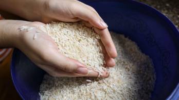 Hay que resaltar que el consumo anual per cápita de arroz blanco en la nación se calcula en unas 154.32 libras.