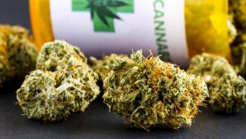 Minsa ha otorgado tres licencias para fabricar cannabis medicinal y una para farmacias.