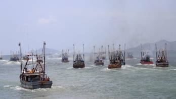 Más de 400 barcos camaroneros vuelven al mar&nbsp;