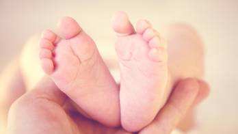 Tras el lamentable suceso, el personal de control de animales retiró a la mascota del hogar.