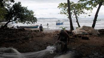 Panamá lanza el Sello Buena Práctica de los ODS para empresas e instituciones