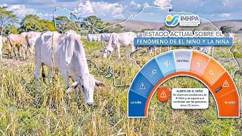 Según ganaderos, el fenómeno de El Niño ya comienza a sentirse en el Arco Seco de Azuero.
