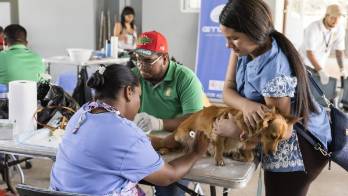 Protegen a perros y gatos de infecciones urinarias