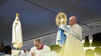 Francisco en sus mejores frases