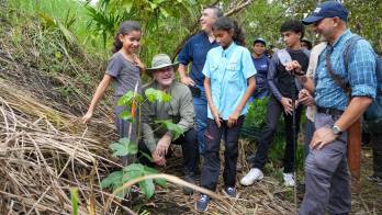 MiAMBIENTE cuenta con viveros institucionales e infraestructuras permanentes para la producción de 200,000 plantones de especies nativas a nivel nacional.