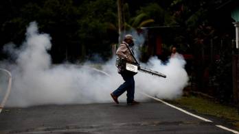 Minsa no baja la guardia contra el dengue