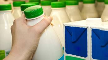 Panamá produce cerca de 180 millones de litros de leche al año.